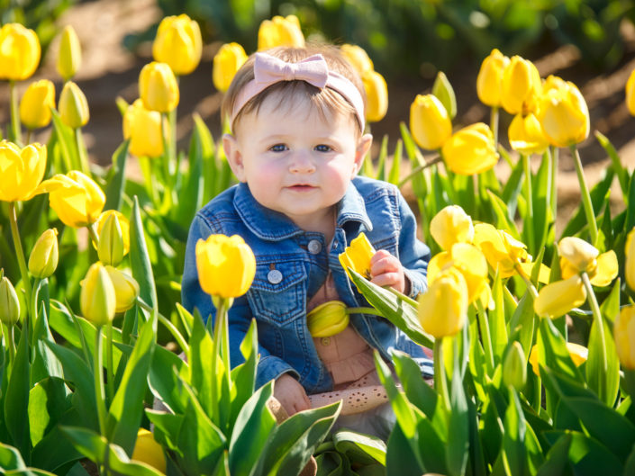 Baby in tulip field